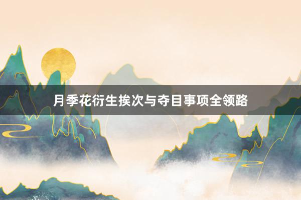 月季花衍生挨次与夺目事项全领路